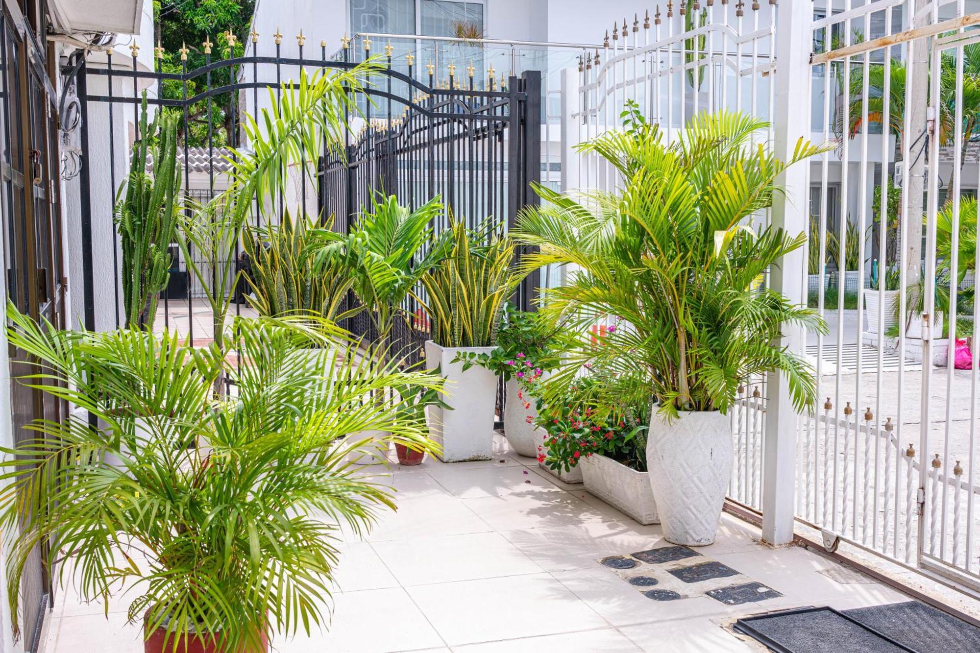 Oresca Hostel Cartagena Exterior foto
